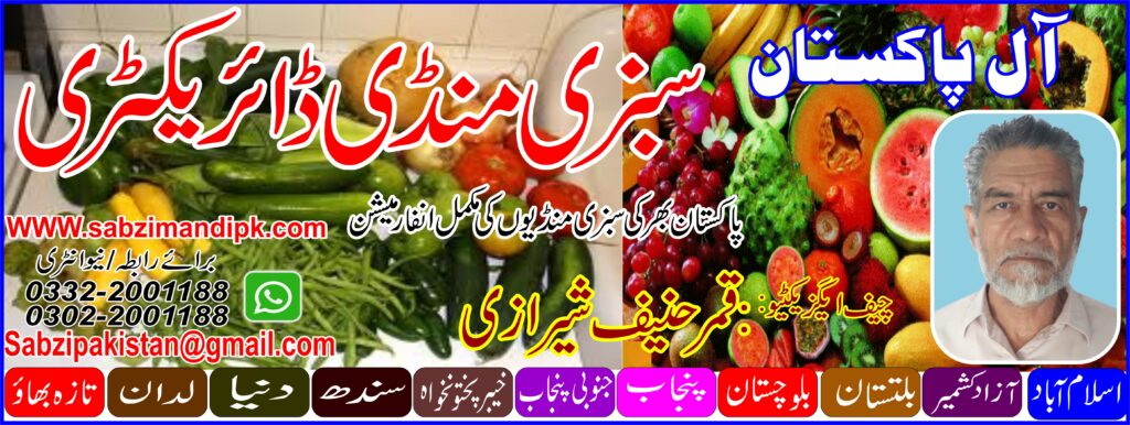MAIN TITAL Sabzi mandi